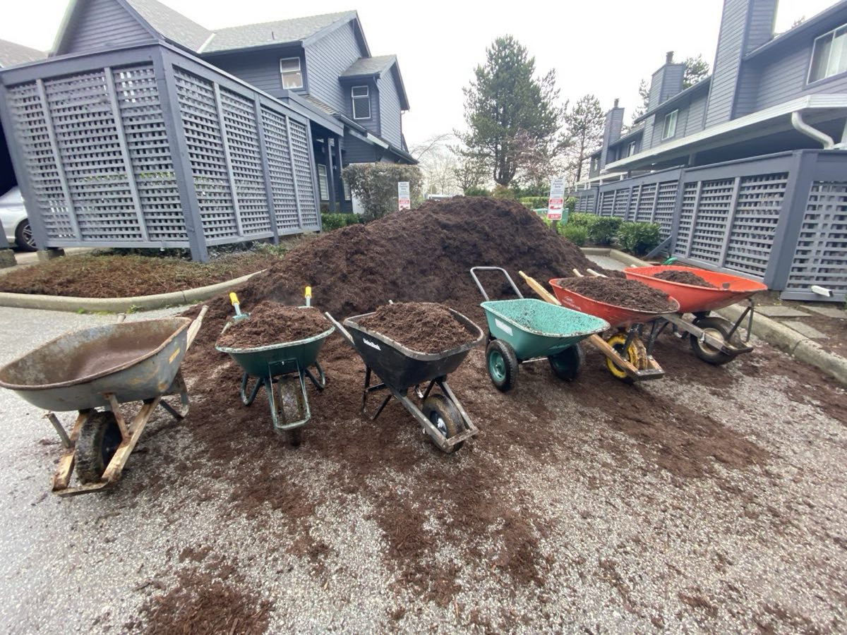 Wheelbarrows lined up at a mulch pile on a job site