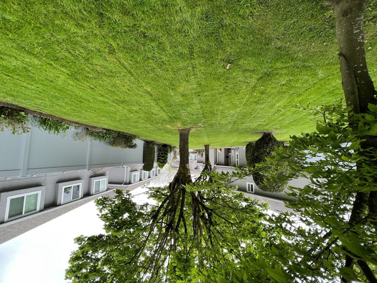 Mowed strata lawn between buildings with mature trees